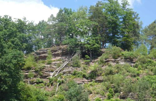 Apartments in Fischbach bei Dahn - Pfälzerwald 42914 - Foto 10