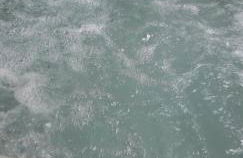 Haus Harzer Bergblick all inklusiv Sauna Whirlpool - Foto 39