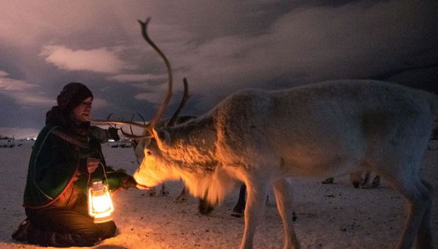 Découvrez l’histoire du peuple Sami et de ses rennes – Expérience d’une demi-journée - Photo 4