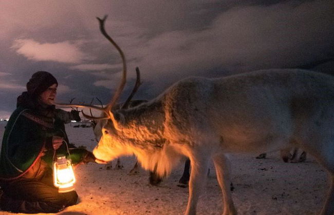 Découvrez l’histoire du peuple Sami et de ses rennes – Expérience d’une demi-journée - Photo 4