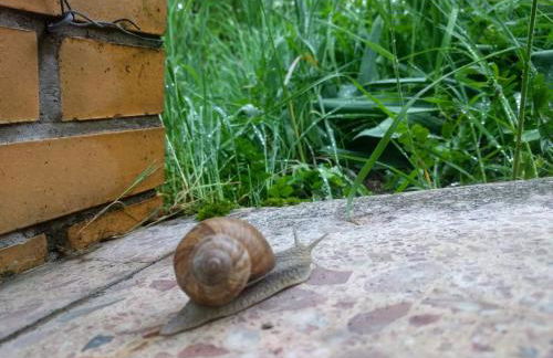 Old Bavarian House on the Romantic Road - Foto 25