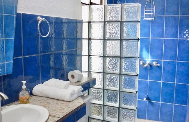 Bohemian Monkey - Foto 22