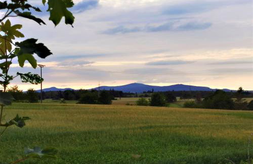Ferienhaus "Hirschsieh" - Foto 3