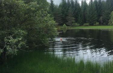 Our Log House in the woods - Photo 7