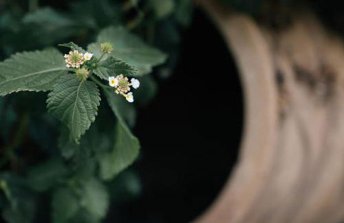 Villa Mare Nostrum Sounio - Foto 78