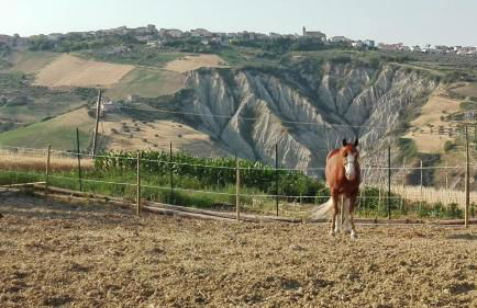 Casale Vittoria Atri - Foto 34