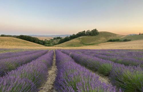 Le case della baracchina - Foto 4