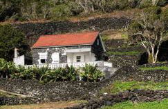 Adega do Golfinho - Photo 1