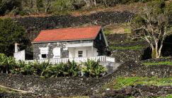 Adega do Golfinho - Photo 1