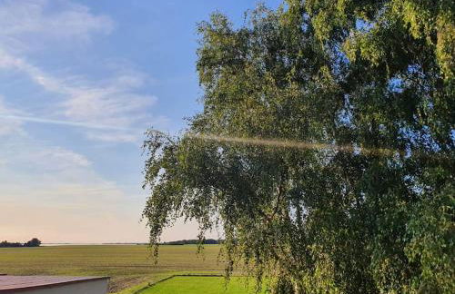 Ferienwohnung MaLaMaBu am Kitespot Saal Ostsee - Foto 8