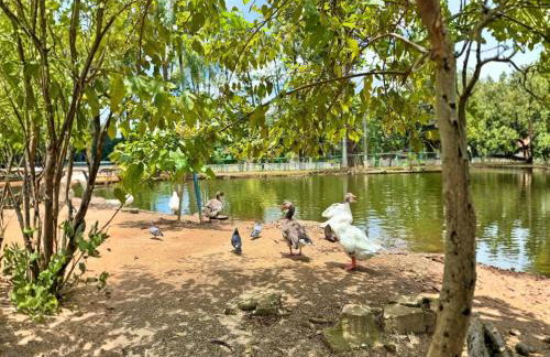 Vista incrível -2 qtos c/ suíte -próx shopping e PUC c/ varanda e churrasqueira - Foto 59