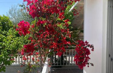 Cosy spot near the beach only 45 min from Athens - Foto 39