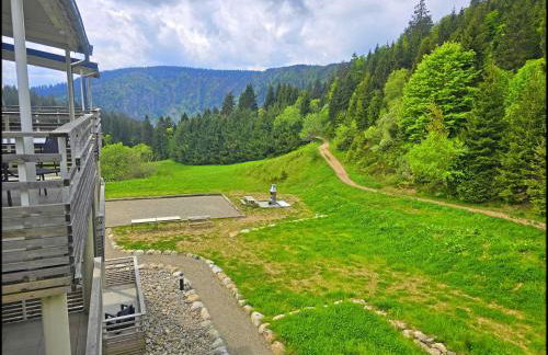 Ecrin - White Lake - Terrasse - Local velo et ski - Photo 38