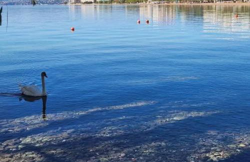 Angela's Seaview Apartment - Foto 57