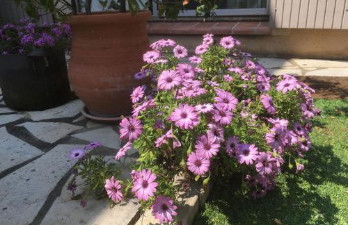 alize gîte en Provence - Photo 19