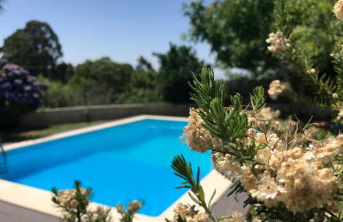 Ribeirinho da Serra - Foto 8