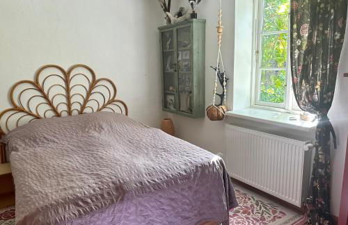 Mecklenbü mit Teich, Kamin, Sauna und Hotpott - Foto 8