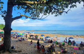 Studio Costa a Mar - Photo 24