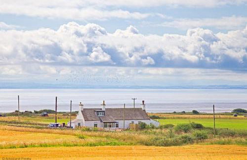 Beachcombers - Foto 1