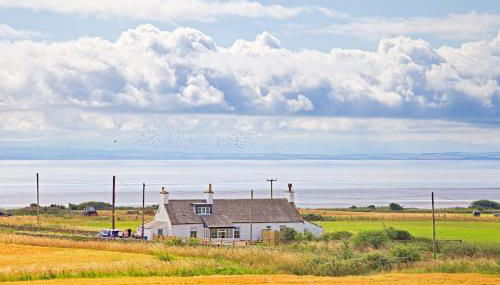 Beachcombers - Foto 1