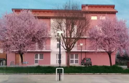 La Casina Rosa - Foto 3