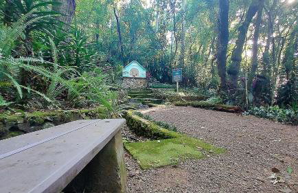 Cabana Casa Enxaimel - Serra Gaúcha - Foto 69