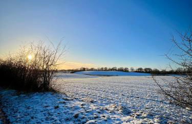 Ferienwohnung Ostseefeuer - Foto 80