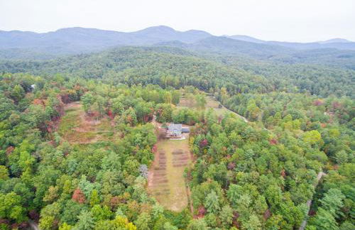 Jewel of the Woods - Foto 43