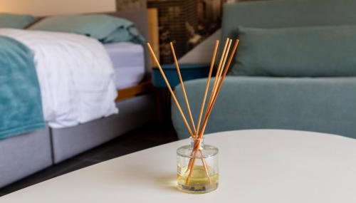 Grand studio bord du lac - Photo 3