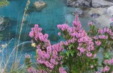 La casa del sole (arcomagno San Nicola Arcella) - Foto 2