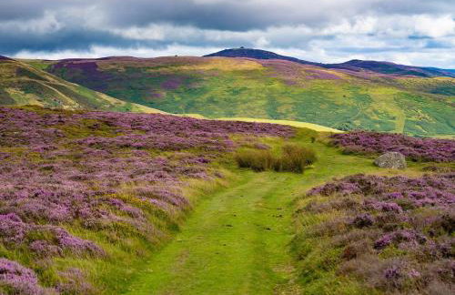 3 Bed in Wrexham oc-83938 - Foto 65