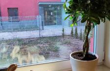 Wooden Dream with Terrace - Foto 7