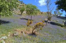 West Cumbria static caravan - Foto 48