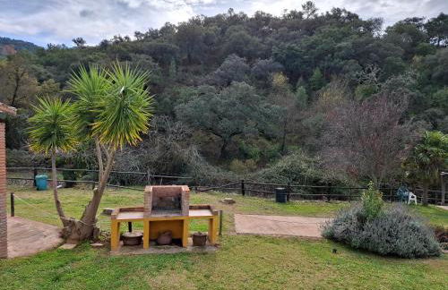 Finca Fuentezaos Cortijo Las Palmeras - Foto 29