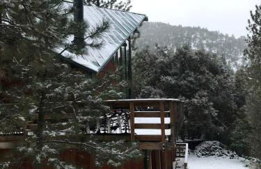 Stunning Cabin with Indoor Jacuzzi Ideal for a Weekend Getaway from Los Angeles - Foto 28