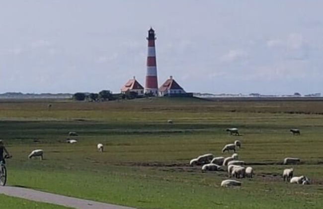 Haus Limosa Comfortable Holiday Residence - Foto 19