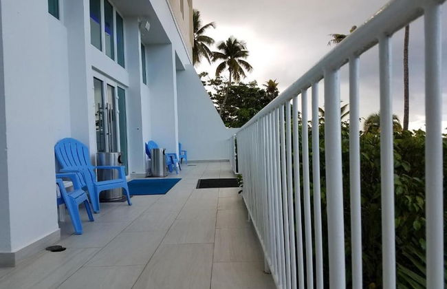 Mare 1562 - Photo 38