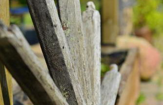 Ferienwohnung Milow - Foto 14