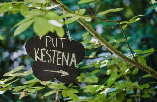 Old Chestnut Vacation Home - Foto 32