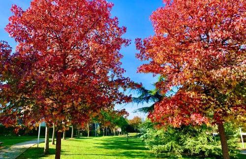 Apartment Zen - Foto 37