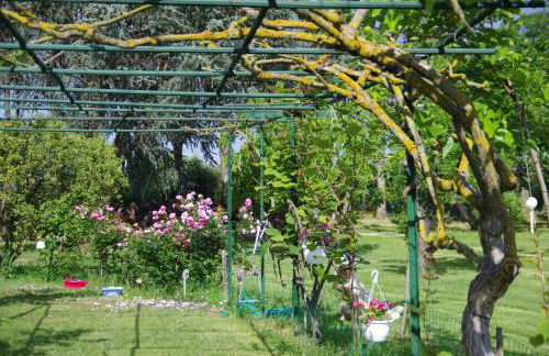 Monica di Sorbo - Foto 26