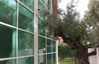 Otium casa vacanze-servizio spiaggia incluso a 250 mt-struttura pet friendly - Foto 17