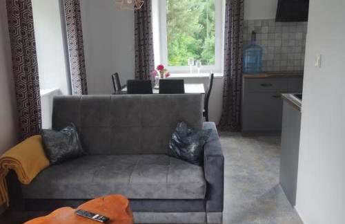 Apartamenty u Gołębiewskich - Foto 55