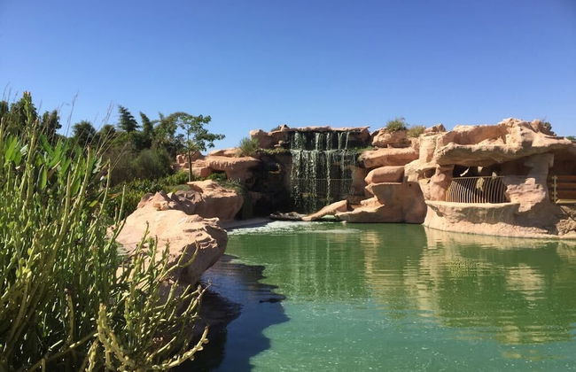 Le Jardin aux Etoiles - Foto 70