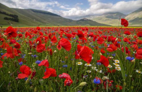 Agriturismo La Cascina di Opaco - Foto 37