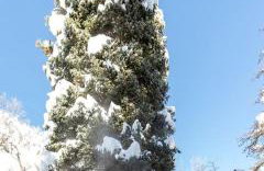 Lovely Secluded A-frame with Hot-tub in Sundance, Utah - Foto 18