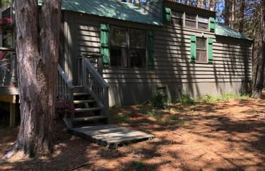 Woodsy and Private- Rustic Cabin - Foto 6