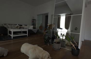 Wohnung in Zentrum Bonn - Foto 4