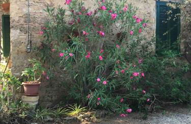 CALABRIA- CASA SUL MARE La Camilluccia - Foto 35