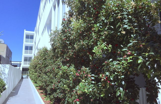 Brand New Stunning Home with Garden - Foto 19